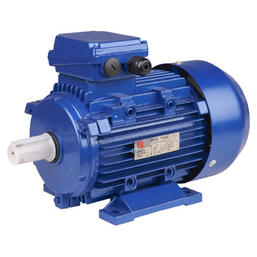 MS Series 3-Phase Motors