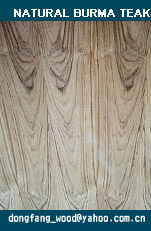 nature teak plywood