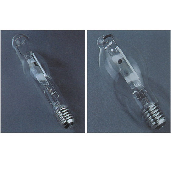 Metal Halide Lamp