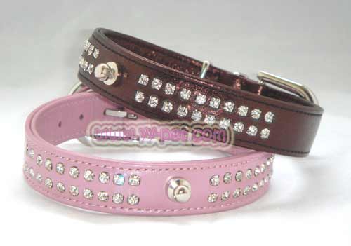 dog collar 