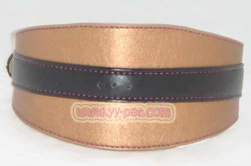 dog collar 