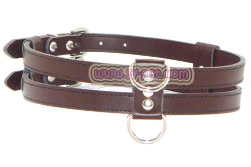 dog collar 