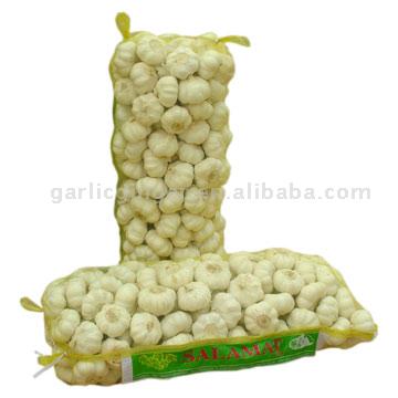 White Garlic