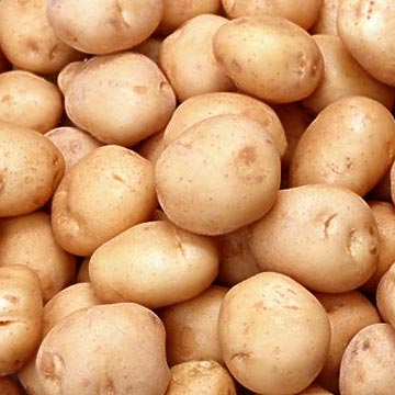 Holland Potatoes