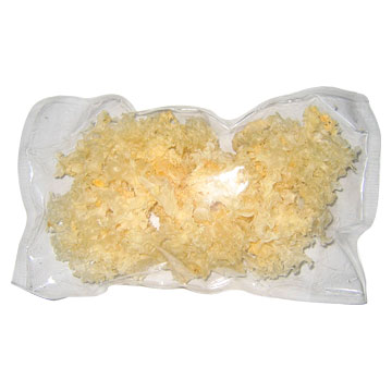 White Fungus