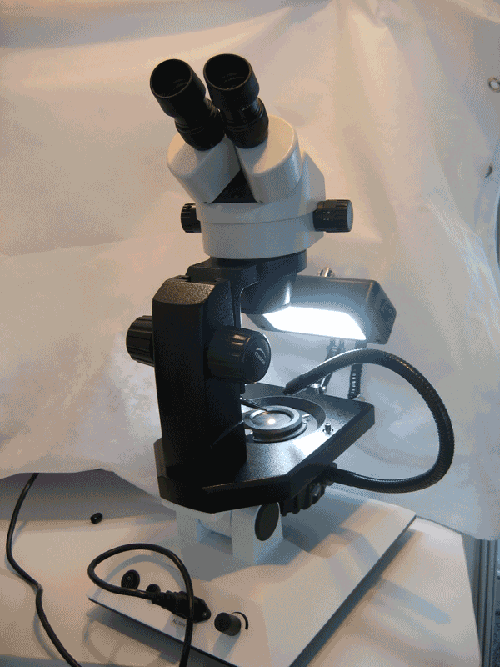 Gem Stereo Microscope