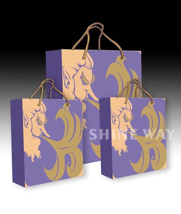 Paper Gift Bag