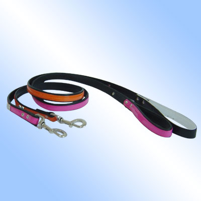  pet leash and collar 