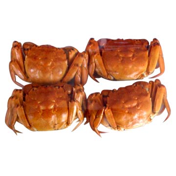 FD Crabs