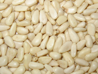 pine nut kernels 