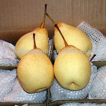 3) Other varieties: golden pears, Fengshui pears, earlier Su.