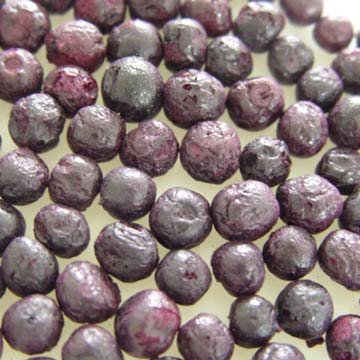 Freeze-Dried Blueberrys