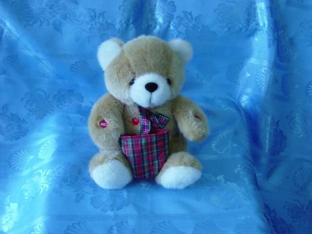 Recording Bear Promotion Gifts(Toys)