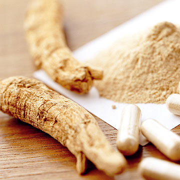 Ginseng Root and American Extract for Pharmaceuticals