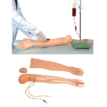 IV Injection Arm Models