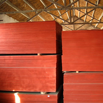 Film Faced Waterproof Shutter Plywoods