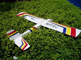 Arf Rc Model Plane (40 Tr)