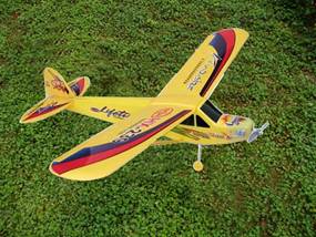 Arf Rc Model Plane ( J3)