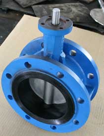 Double flanged butterfly valves