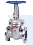 gate valve