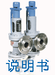 safety valve