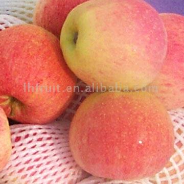 Gala Apples