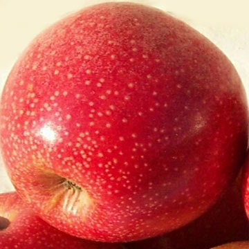 Qinguan Apples