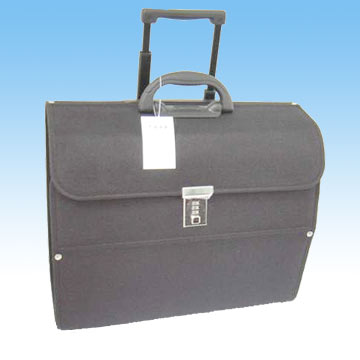 eva trolley case 