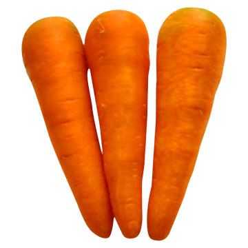 Fresh Carrots