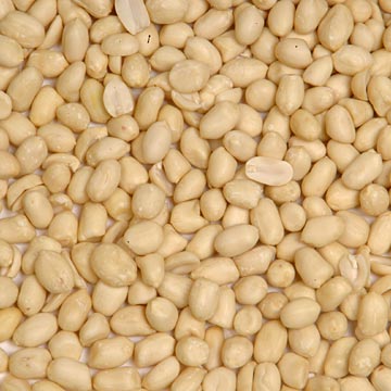 Blanched Peanut Kernels (Round -Spanish Type)