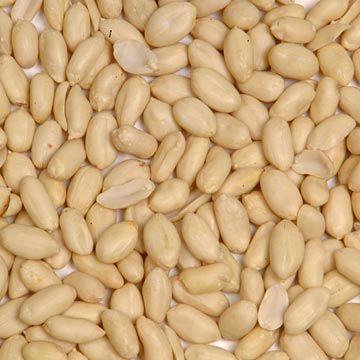 Blanched Peanut Kernels (Virginia Type)