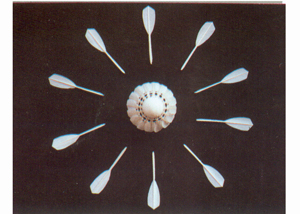 badminton shuttlecock