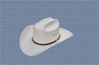 cowboy hat