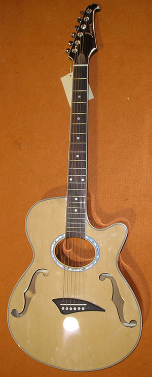 Cutaway Guitar