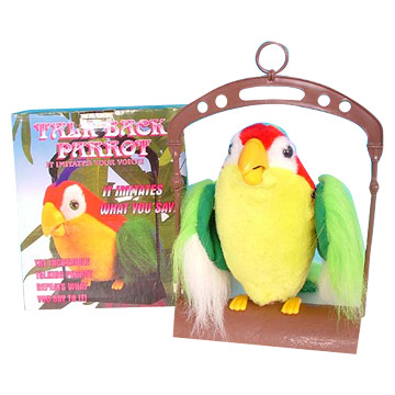 quaker parrot sound 