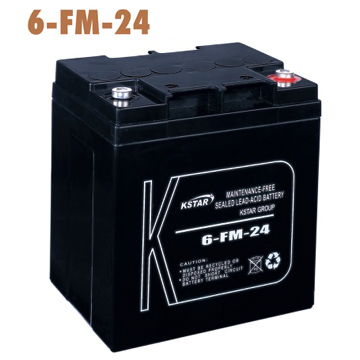 Sealed Lead Acid Battery