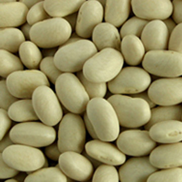 White Beans