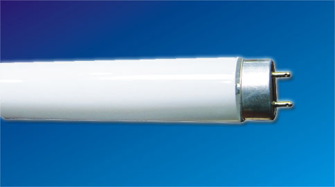 fluorescent lamp