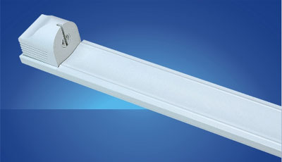 T8 fluorescent light  