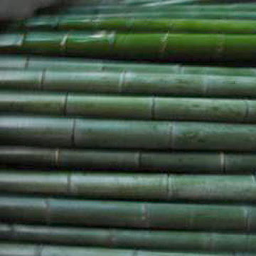 bamboo fishing pole 