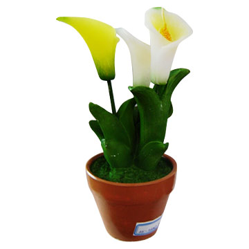 Tulip Potted Plant