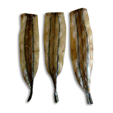 Dried Horse Mackerels