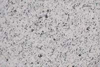 China Sesame White Granites G365