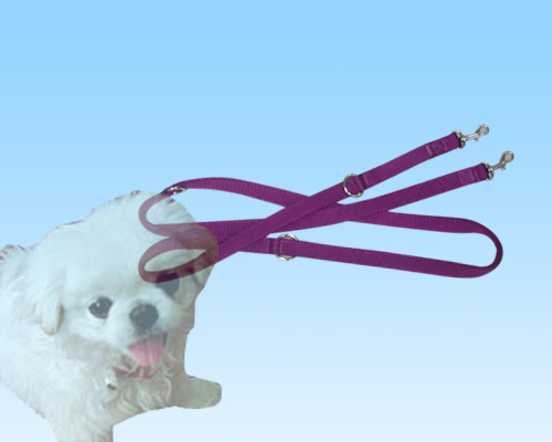 pet lead