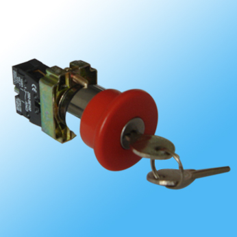 pushbutton  key switches