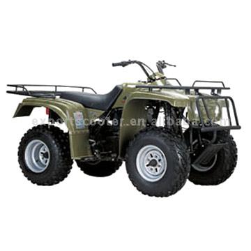 ATV 1000w