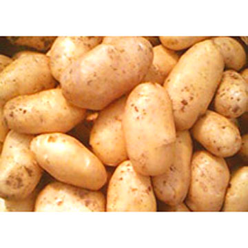 Ethanol recipe from potatos