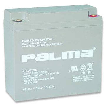 SLA Battery