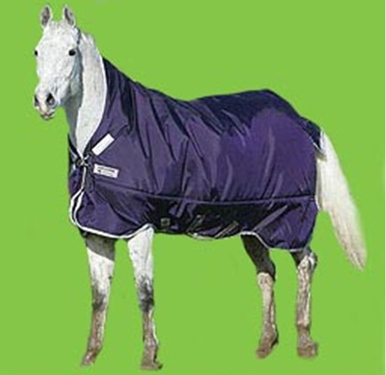 horse blanket