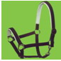 horse halter